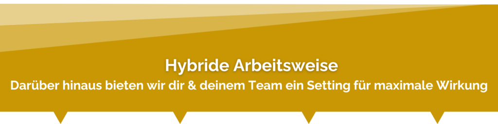 HyprideArbeitsweise